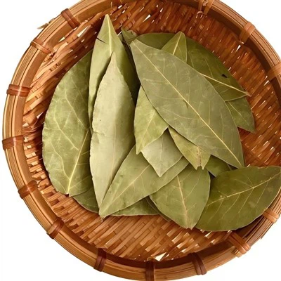 Folhas de louros secos